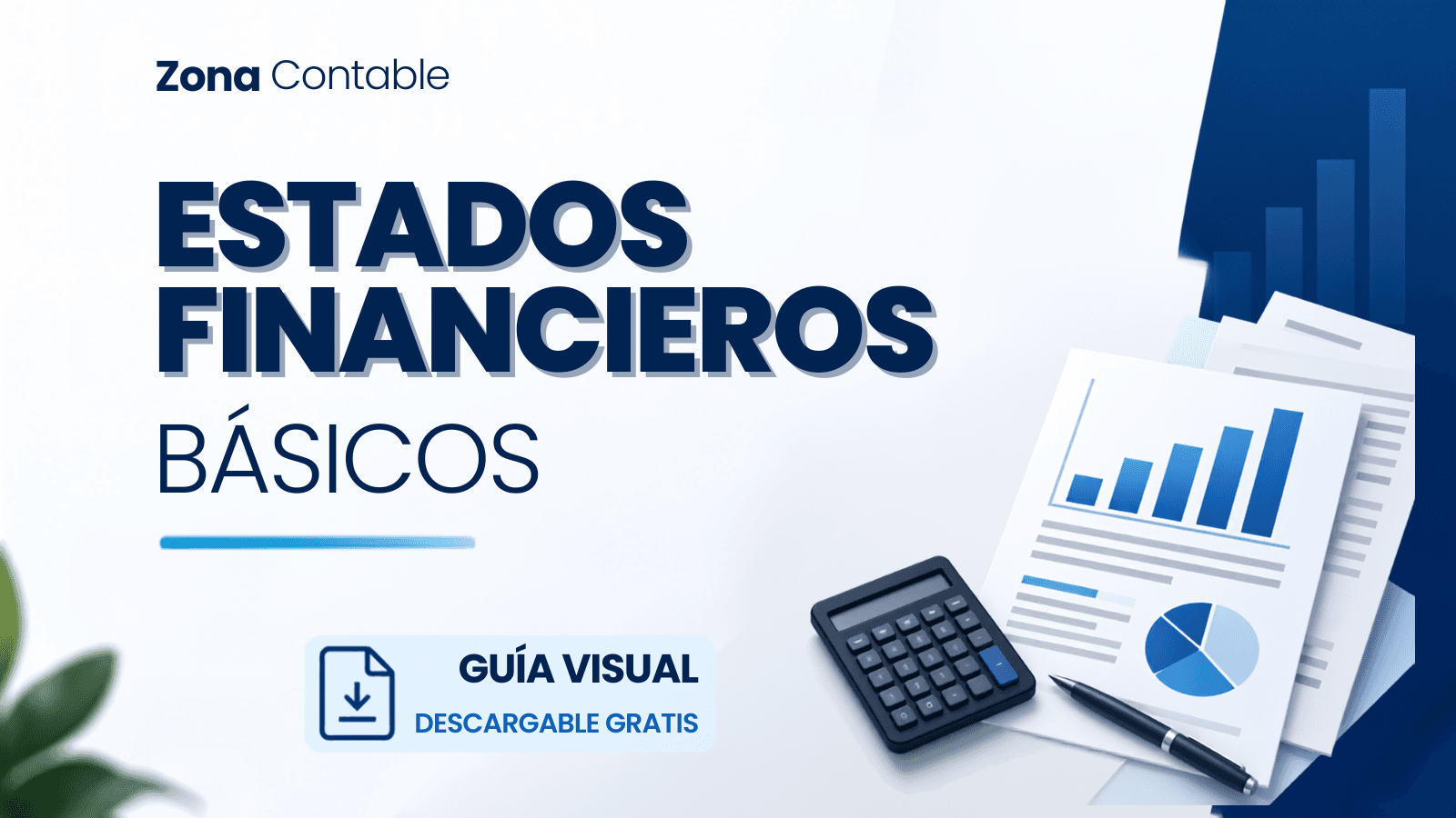 Guía Visual - Estados Financieros Básicos